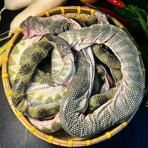 đẻn biển giá sỉ