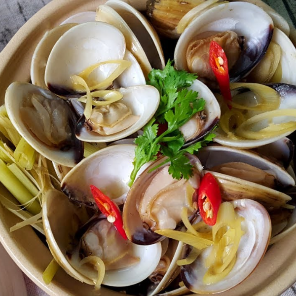 Nghêu trắng giá sỉ 