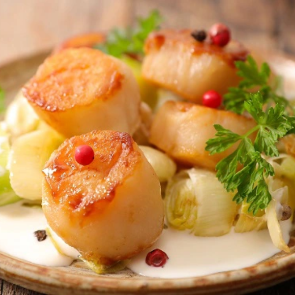 Cồi sò điệp giá sỉ