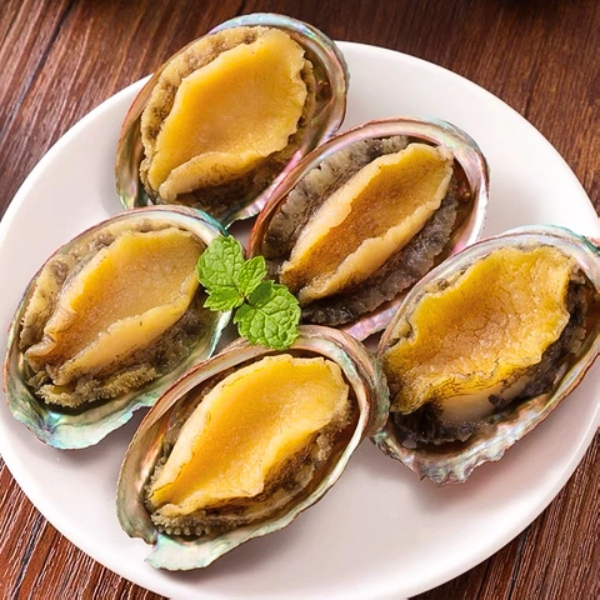 Bào Ngư giá sỉ